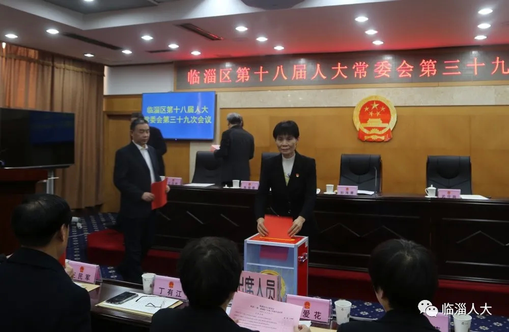 臨淄區(qū)小學(xué)人事任命揭曉，塑造未來(lái)教育新篇章