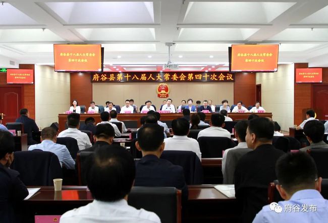 南匯區(qū)發(fā)展和改革局領導團隊全新亮相，展望未來發(fā)展格局