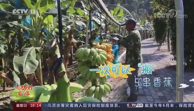冊(cè)亨縣公路運(yùn)輸管理事業(yè)單位招聘啟事