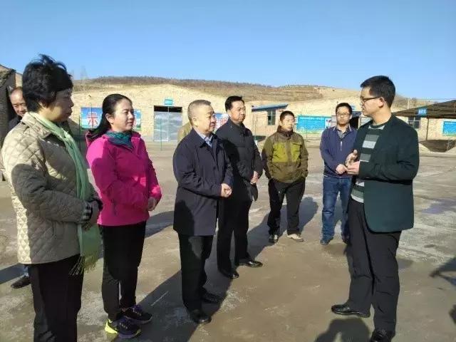 彭陽(yáng)縣人力資源和社會(huì)保障局最新項(xiàng)目概覽介紹