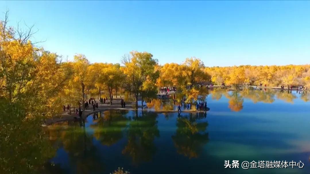 金塔縣防疫檢疫站未來發(fā)展規(guī)劃展望