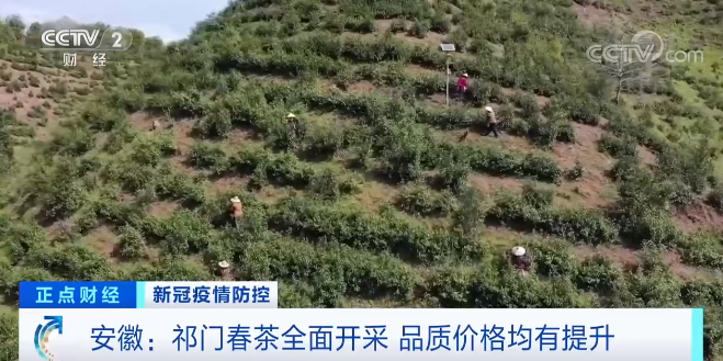 育林鄉(xiāng)天氣預(yù)報(bào)更新通知