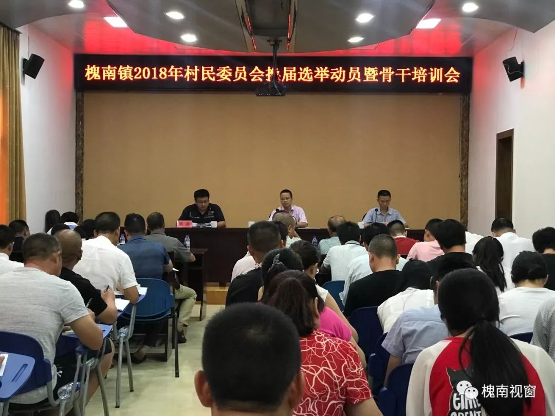 槐樹村民委員會(huì)最新交通新聞，邁向現(xiàn)代化交通新篇章