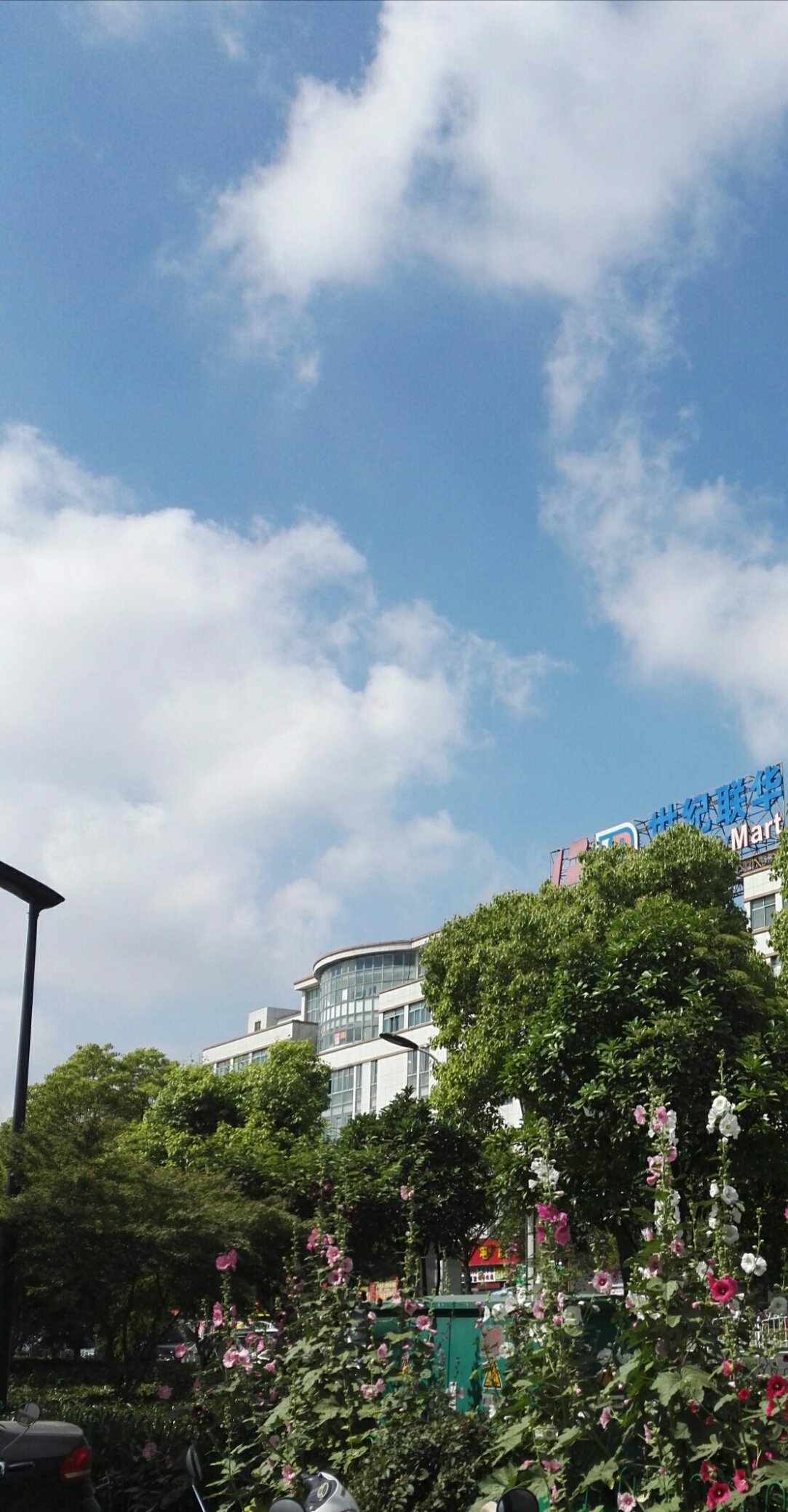 新華街道辦天氣預(yù)報(bào)更新通知
