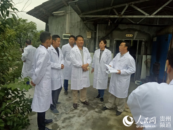 松桃苗族自治縣科技局最新項目進展深度剖析