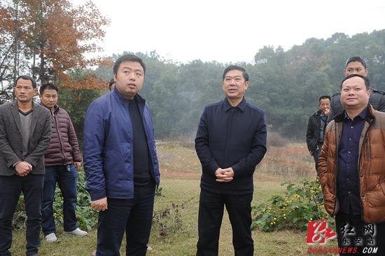 端橋鋪鎮(zhèn)最新項目，先鋒力量引領地區(qū)發(fā)展