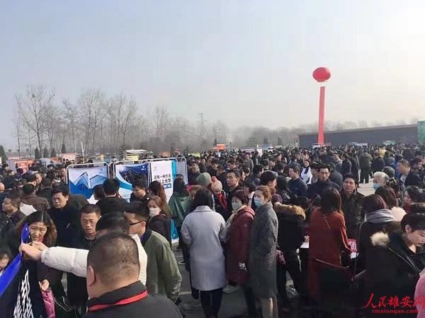 容城縣文化廣電體育和旅游局招聘公告及詳細信息解析