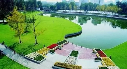 保國街道最新項目，先鋒力量引領城市發(fā)展