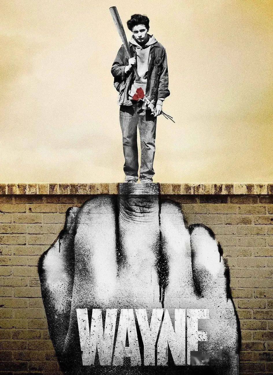 Wayne最新動態(tài)揭秘，探尋神秘面紗下的無限可能