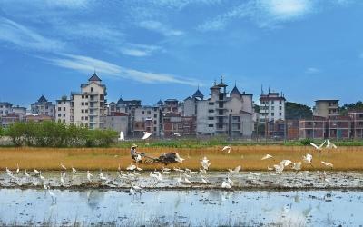 馬鼻鎮(zhèn)未來(lái)藍(lán)圖，最新發(fā)展規(guī)劃引領(lǐng)繁榮未來(lái)