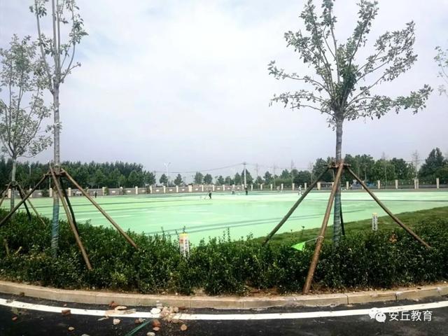 安丘市初中最新項目，引領教育創(chuàng)新，點亮未來之光。