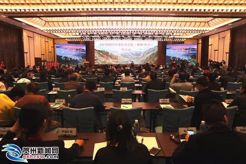 賀州市經(jīng)濟(jì)委員會(huì)未來(lái)發(fā)展規(guī)劃展望