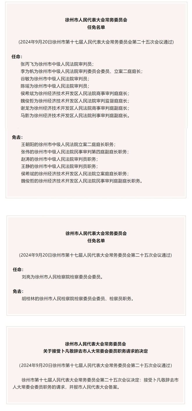 張麻村委會(huì)人事任命重塑未來，激發(fā)新能量新篇章開啟