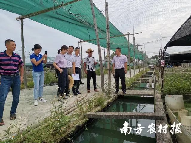 鹽鴻鎮(zhèn)未來繁榮藍(lán)圖，最新發(fā)展規(guī)劃揭秘