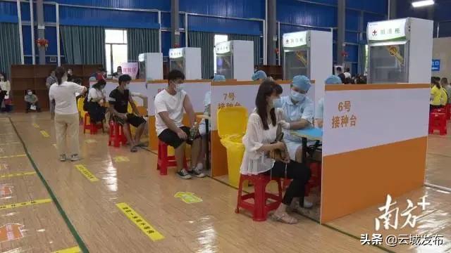 云城區(qū)防疫檢疫站最新動態(tài)報道