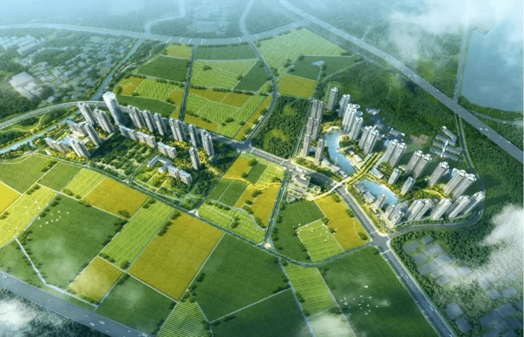 旺達(dá)鎮(zhèn)最新項(xiàng)目，地區(qū)發(fā)展的強(qiáng)大引擎引領(lǐng)者