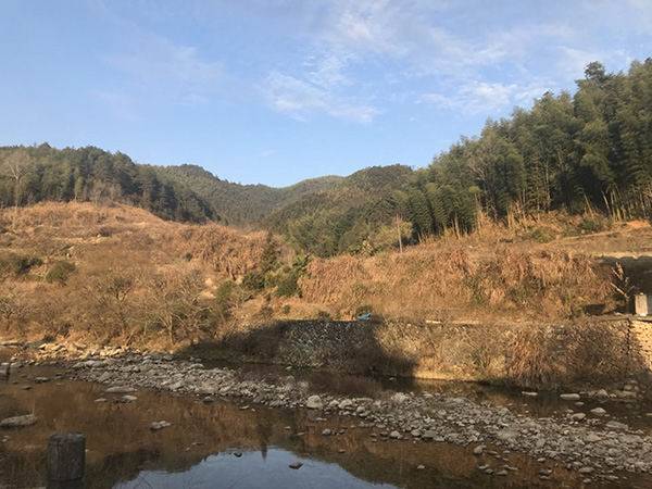 竹林鄉(xiāng)最新項(xiàng)目，鄉(xiāng)村振興的新動(dòng)力源泉