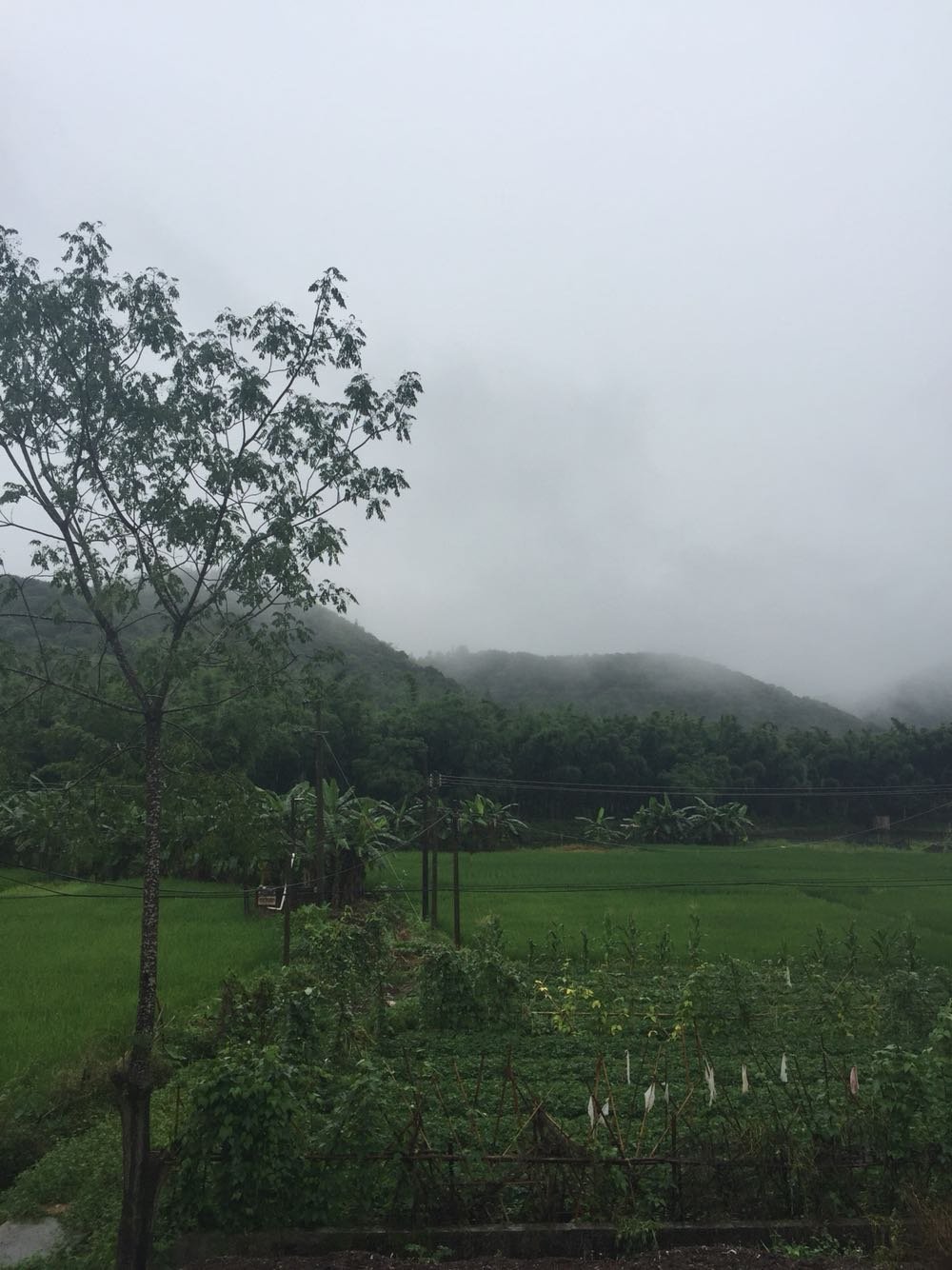 靈地鎮(zhèn)天氣預(yù)報更新通知