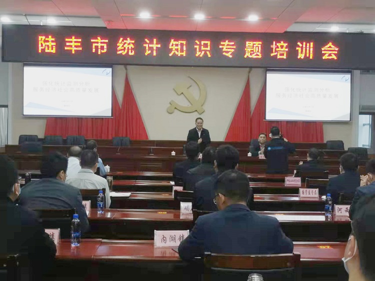 陸豐市統(tǒng)計(jì)局發(fā)展規(guī)劃，構(gòu)建現(xiàn)代化統(tǒng)計(jì)體系，推動數(shù)據(jù)驅(qū)動決策創(chuàng)新實(shí)踐