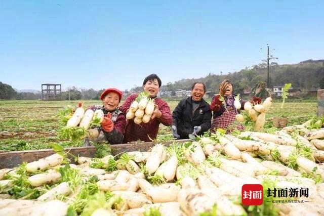 武勝縣人力資源和社會保障局最新動態(tài)報道