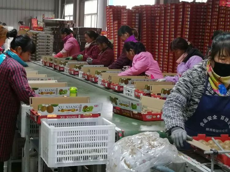 周至縣市場監(jiān)督管理局招聘新崗位信息全面解析