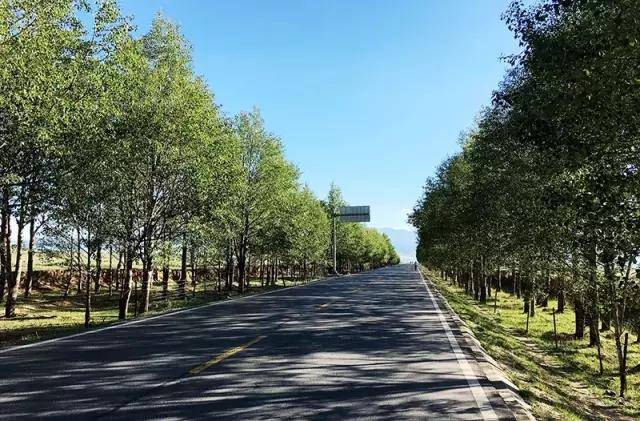 湖東種羊場交通最新動態(tài)