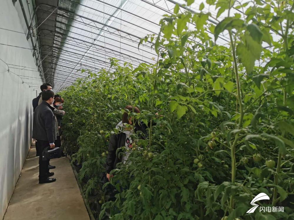 嶧城區(qū)科技局領(lǐng)導(dǎo)團隊全新亮相，未來展望引人期待