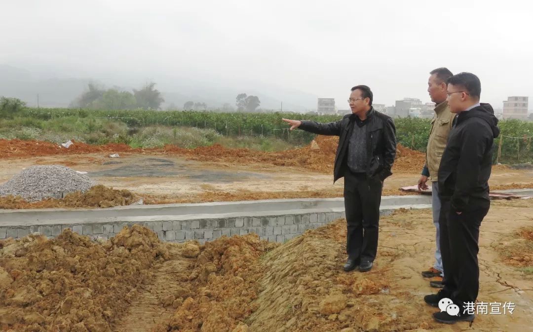 港南區(qū)住房和城鄉(xiāng)建設(shè)局最新資訊動態(tài)