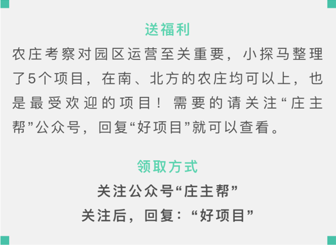 國營弶港農(nóng)場最新招聘啟事概覽