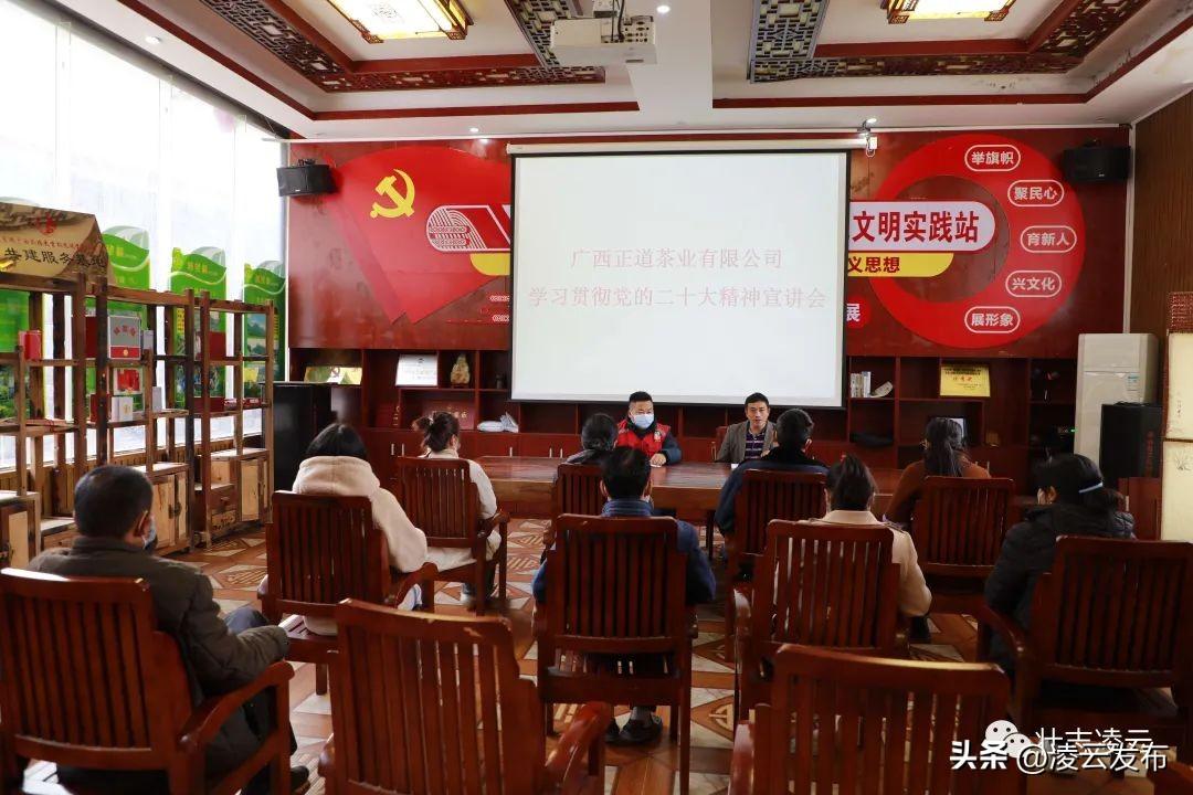 加尤鎮(zhèn)未來繁榮藍(lán)圖，最新發(fā)展規(guī)劃揭秘