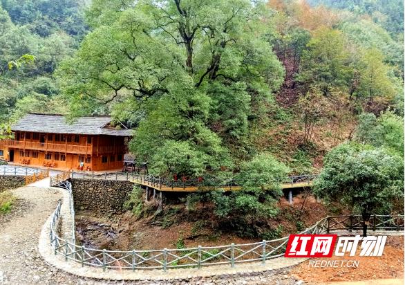 安化縣發(fā)展和改革局最新發(fā)展規(guī)劃概覽