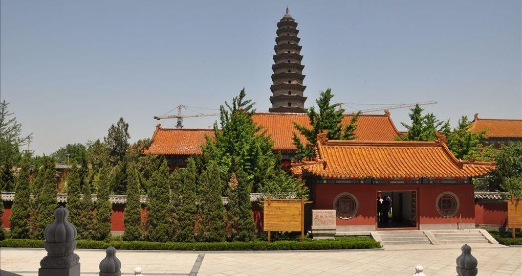 陵縣體育局新項目啟動，助力地方體育事業(yè)邁向新高度