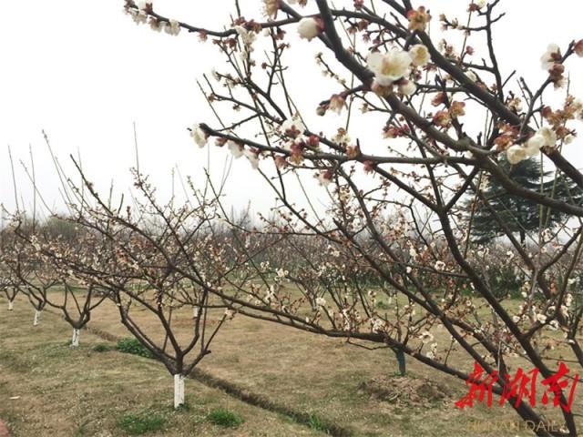 松滋市水利局人事任命推動水利事業(yè)再上新臺階