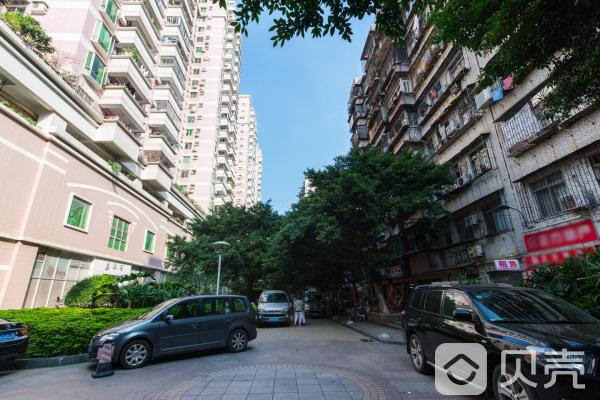 南花園街道最新招聘信息全面解析