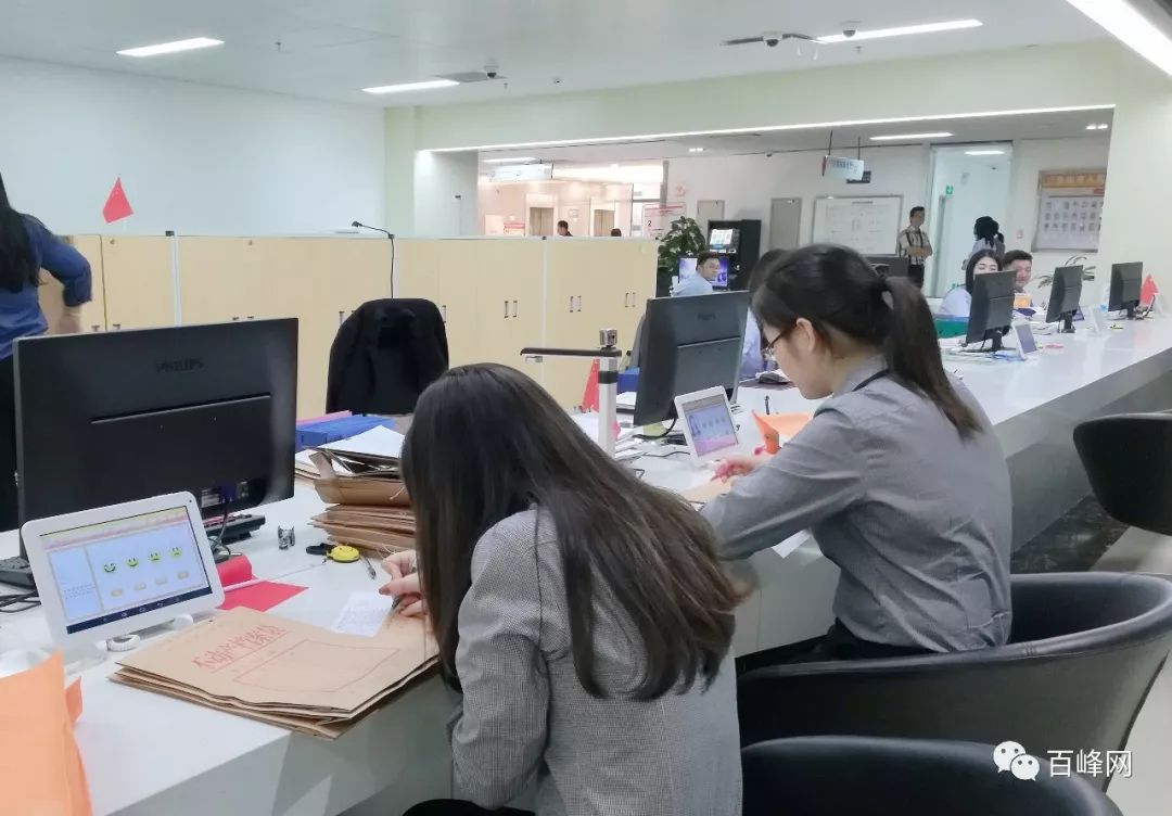 那坡縣數(shù)據(jù)和政務(wù)服務(wù)局最新招聘信息全面解析