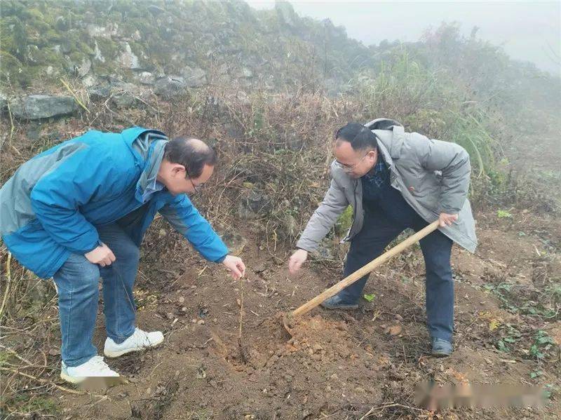強林村新項目啟動，鄉(xiāng)村振興的新動力