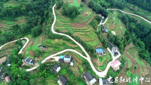 白巖鄉(xiāng)最新新聞速遞