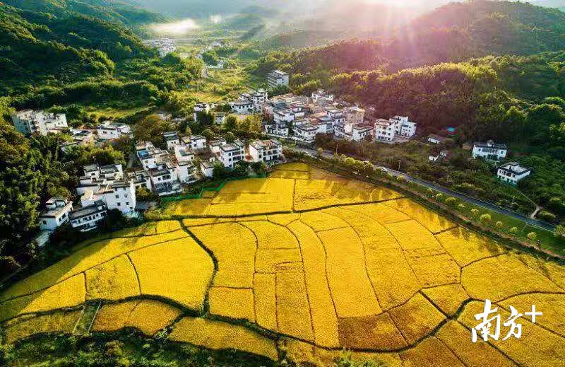 張茹集鄉(xiāng)最新項(xiàng)目，鄉(xiāng)村發(fā)展的強(qiáng)大引擎驅(qū)動(dòng)力