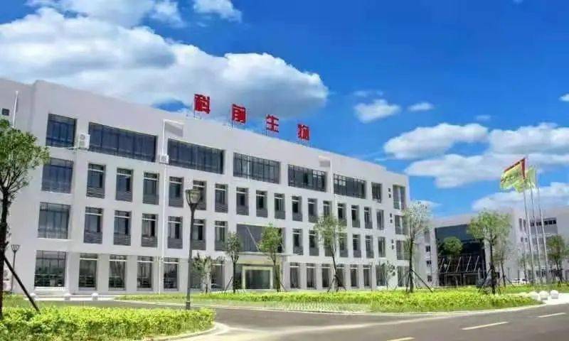 九臺市殯葬事業(yè)單位最新項目深度解析報告