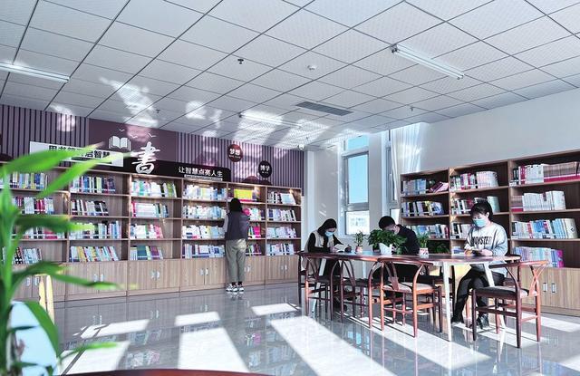 寧晉縣圖書館發(fā)展規(guī)劃構(gòu)想與實(shí)施策略詳解
