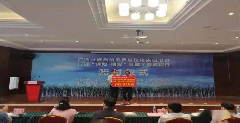 南寧市財(cái)政局最新項(xiàng)目動(dòng)態(tài)深度解析