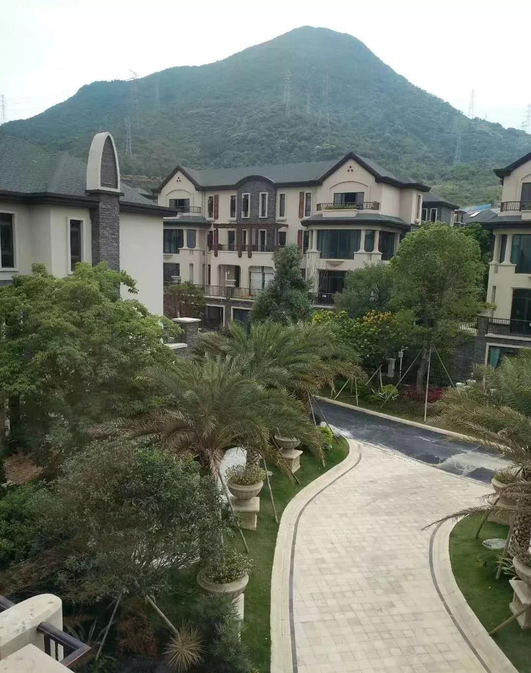 百頁村民委員會最新動態(tài)報道