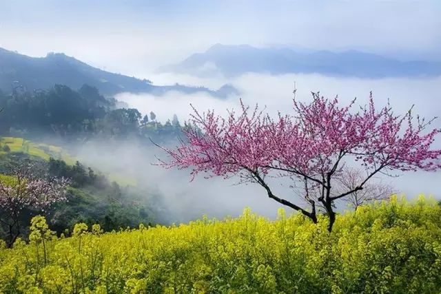 七里山園藝場天氣預(yù)報更新通知