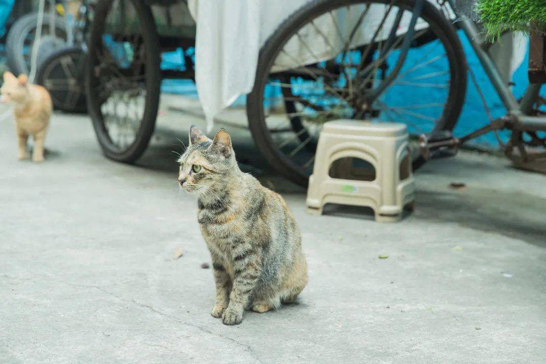 2025年3月1日 第19頁(yè)