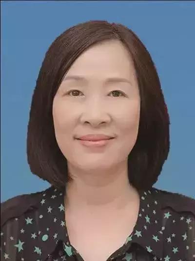 如東縣人民政府辦公室最新項(xiàng)目概覽與動(dòng)態(tài)