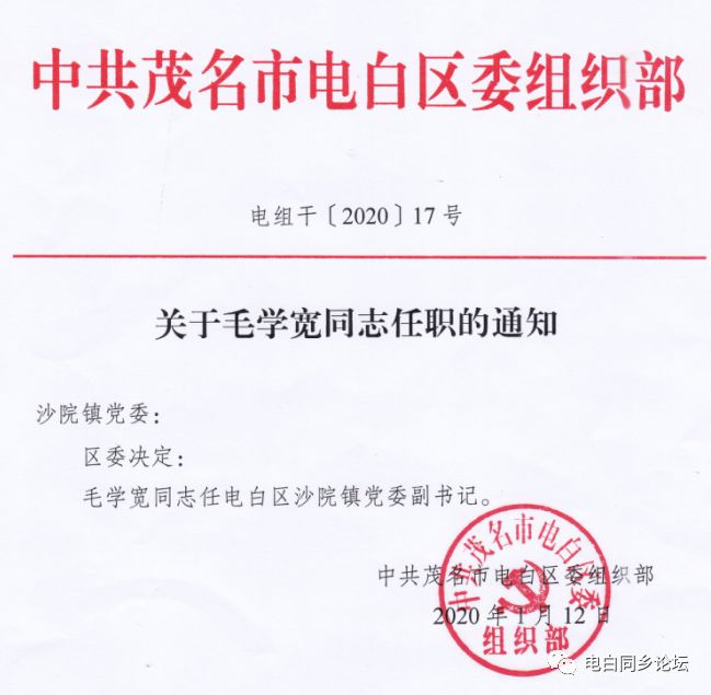 金聯(lián)村委會人事任命完成，村級治理邁向新臺階
