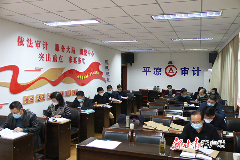 海東地區(qū)市審計(jì)局未來(lái)發(fā)展規(guī)劃概覽