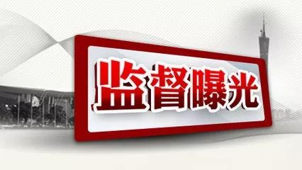 夏堡村民委員會(huì)領(lǐng)導(dǎo)團(tuán)隊(duì)全新亮相，未來工作展望與期待