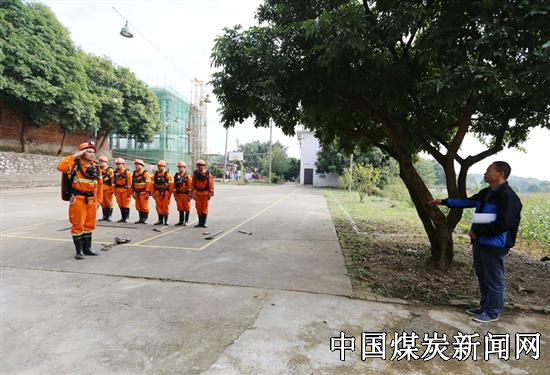 龍礦務局開啟智能化、綠色化交通新征程的新聞標題，龍礦務局交通邁向智能化綠色化新紀元。