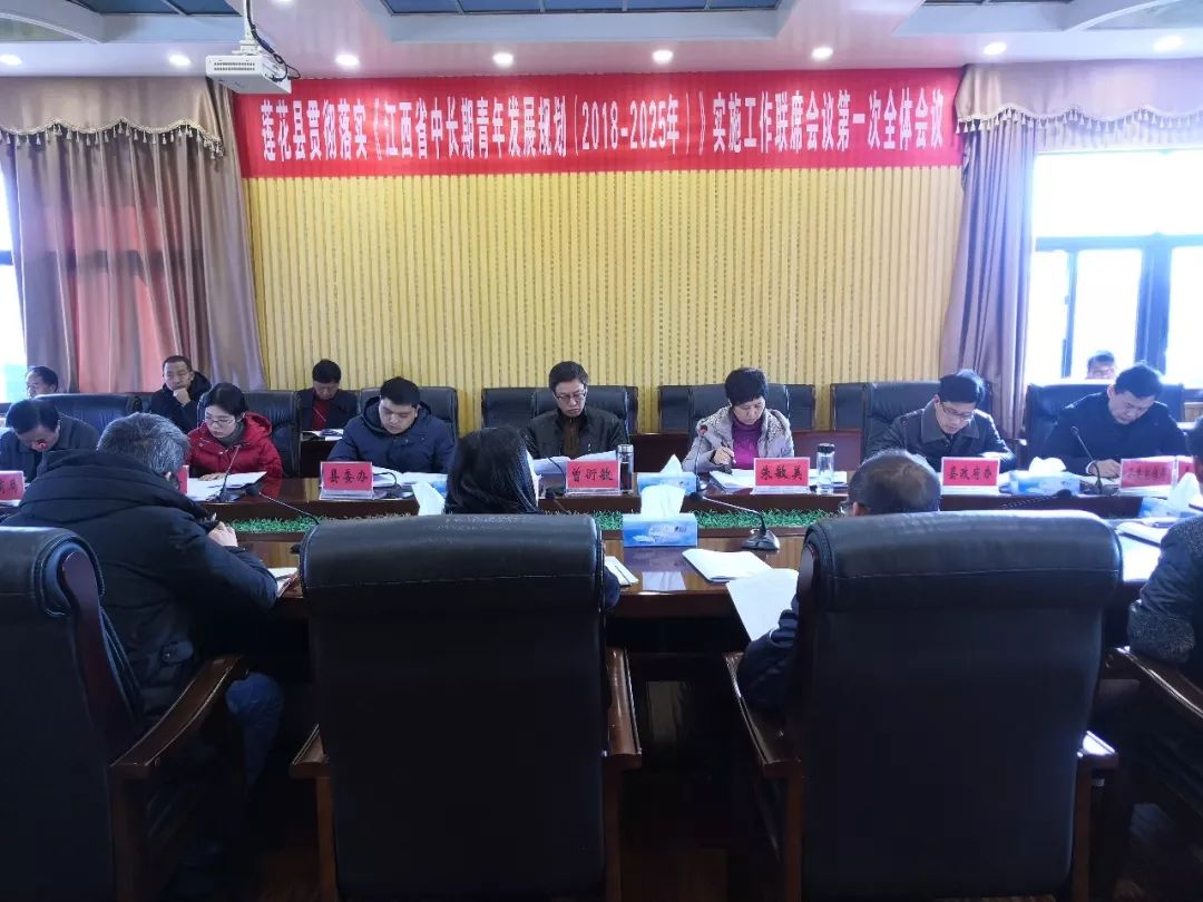 蓮花縣財政局發(fā)展規(guī)劃，構(gòu)建現(xiàn)代化財政體系，推動縣域經(jīng)濟(jì)高質(zhì)量發(fā)展